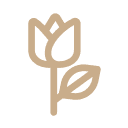 BlossomStage.com