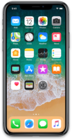 iPhone X/X... (MEID/Global/GSM)
