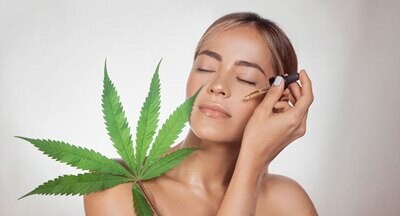 Women and Cannabis: Know All About Lit City – A Women-Owned Cannabis Store