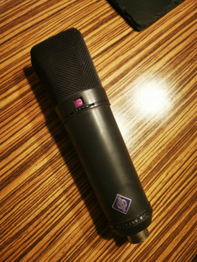Neumann U89i Professional Microphone