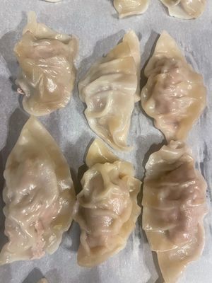 Japanese Gyoza 5 pack