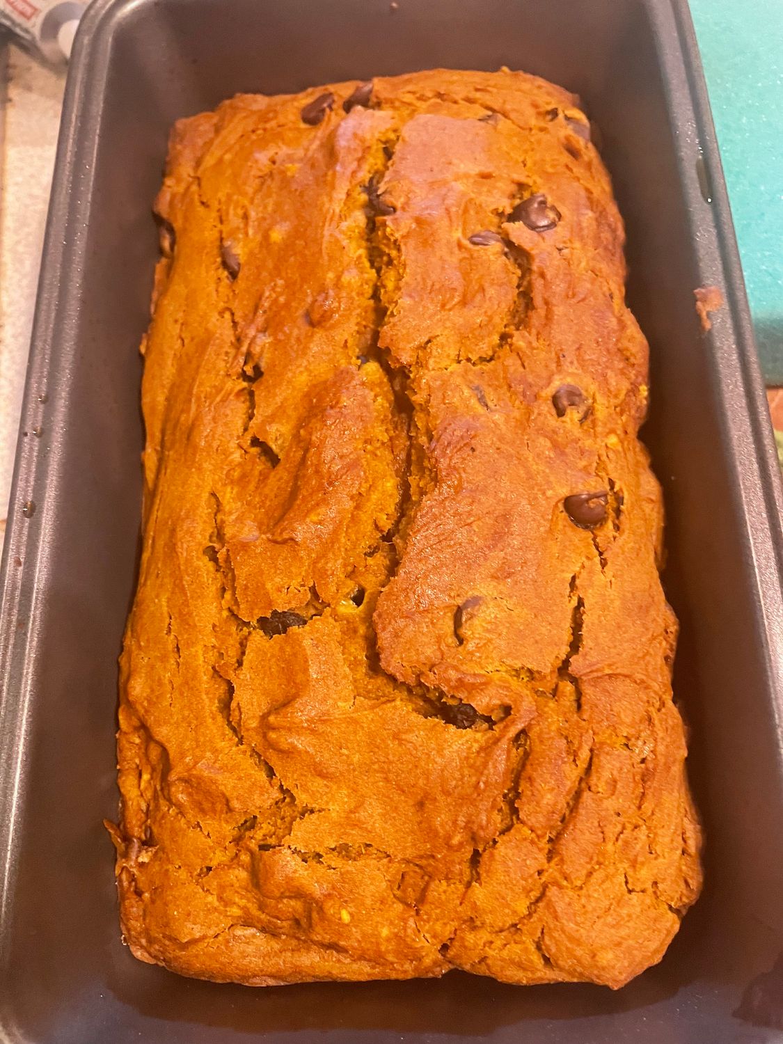 Pumpkin chocolate chip loaf