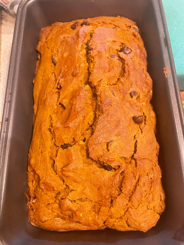 Pumpkin chocolate chip loaf