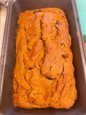 Pumpkin chocolate chip loaf