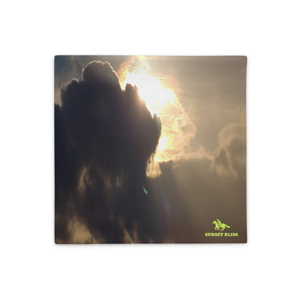 ASCENSION-Pillow Case, Size: 18×18