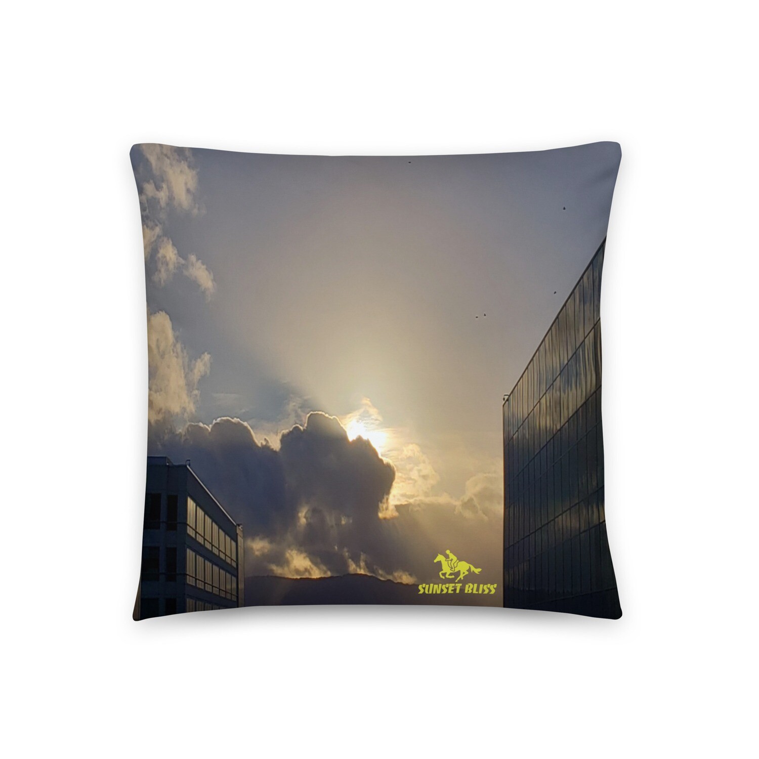 TOP FLIGHT SKYLINE-Basic Pillow, Size: 18×18