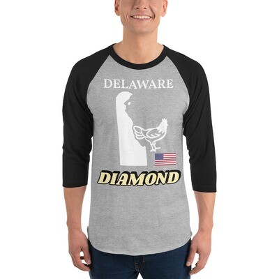 DELAWARE-3/4 sleeve raglan shirt