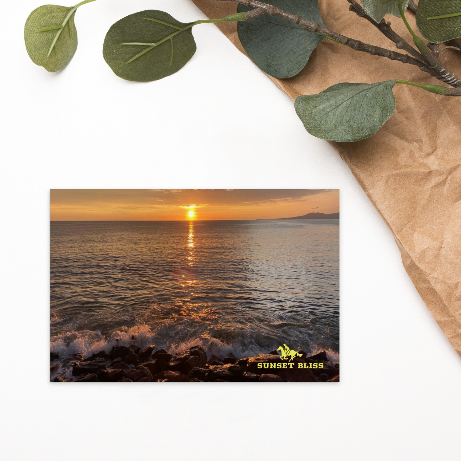 OCEAN VIEW-Standard Postcard
