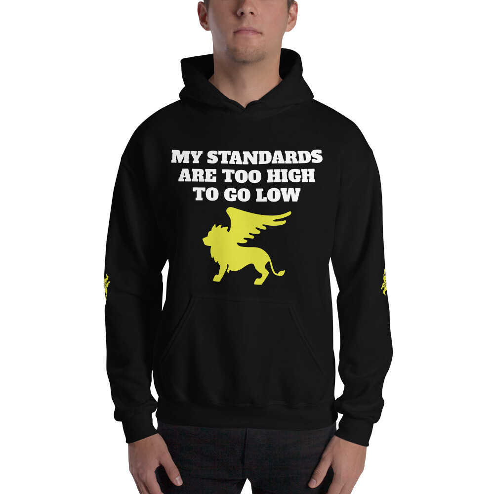SIR STANDARDS-Unisex Hoodie, Color: Black, Size: S