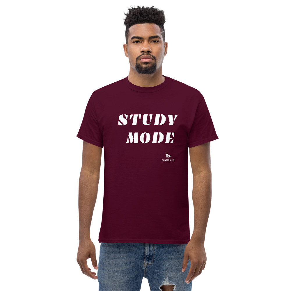 STUDY-Men's heavyweight tee, Color: Maroon, Size: S
