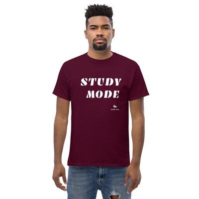 STUDY-Men's heavyweight tee