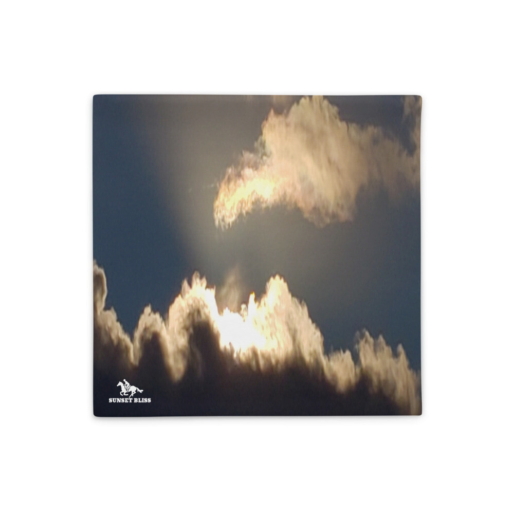 UPLIFT &amp; INSPIRE-Pillow Case, Size: 18×18