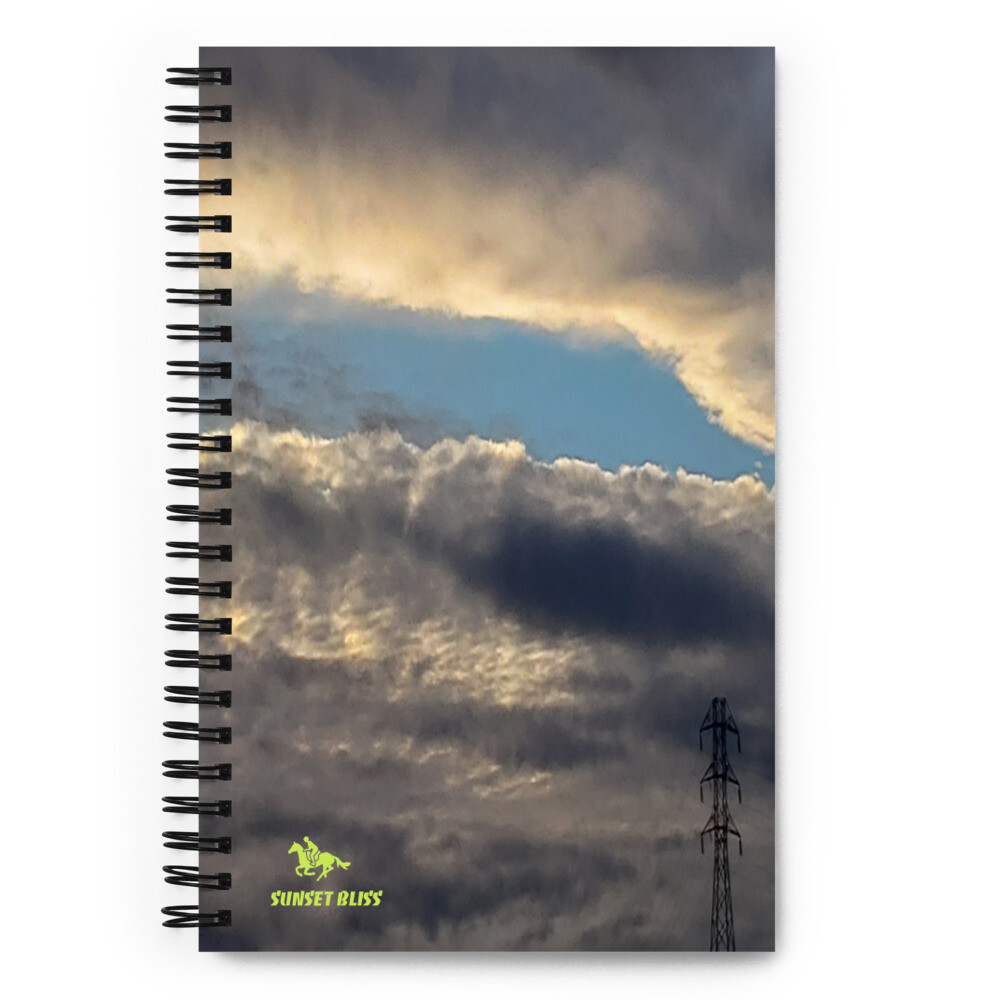 BLURR-Spiral notebook