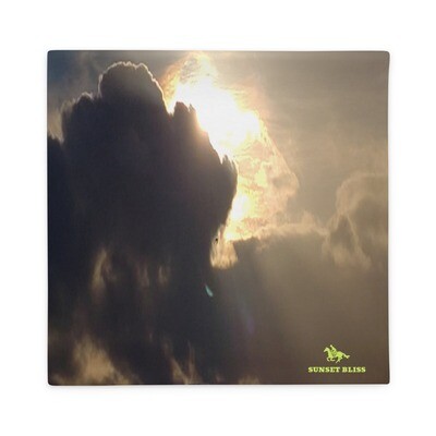 ASCENSION-Pillow Case