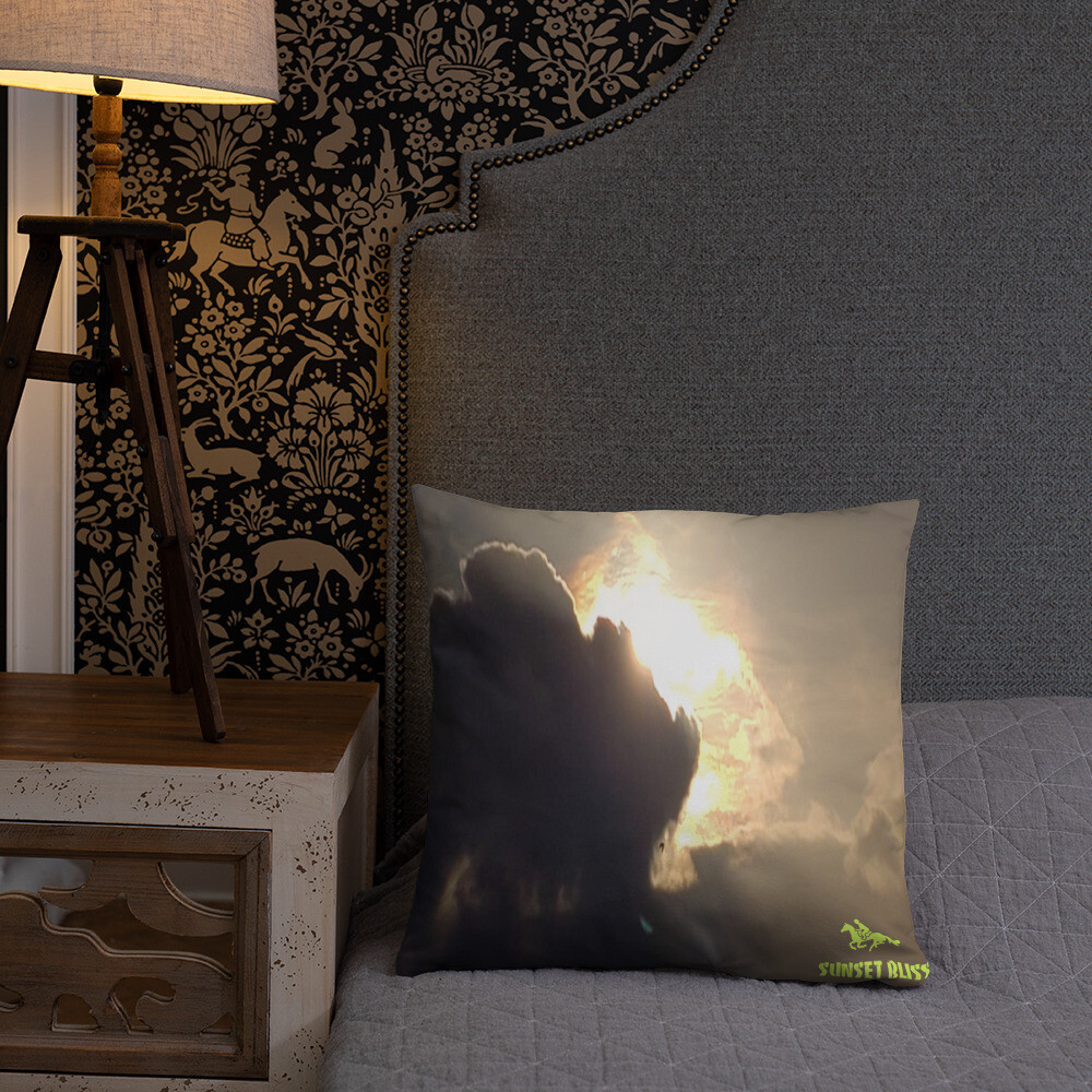 ASCENSION-Basic Pillow, Size: 18×18