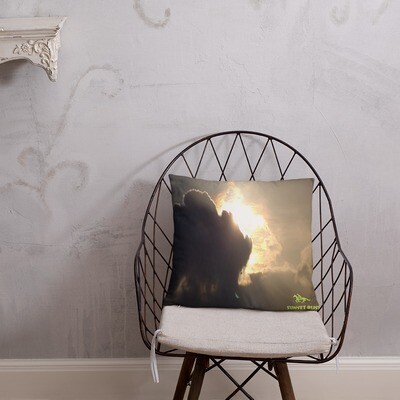 ASCENSION-Basic Pillow