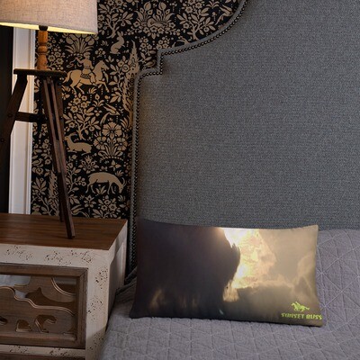 ASCENSION-Basic Pillow