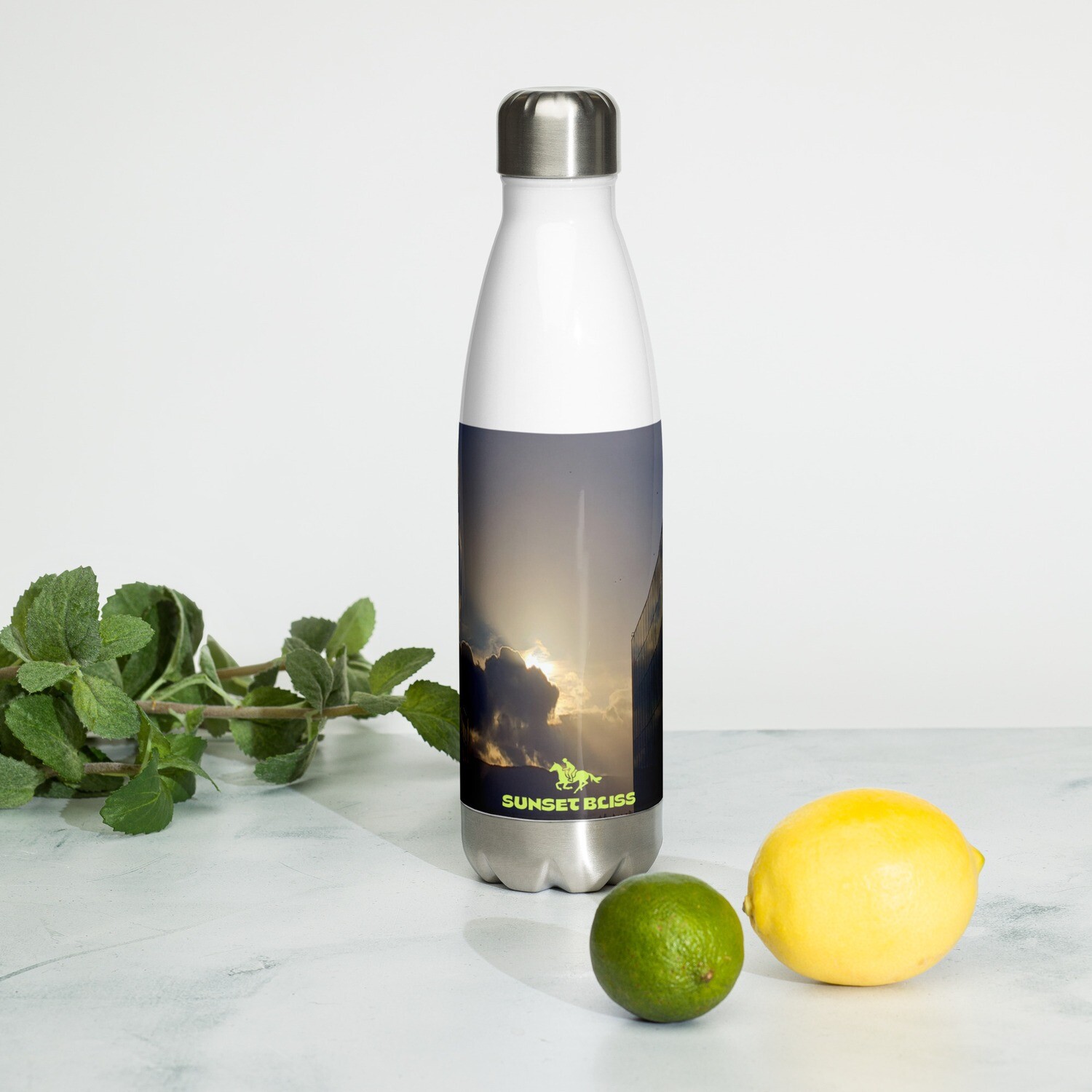 TOP FLIGHT SKYLINE-Stainless Steel Water Bottle