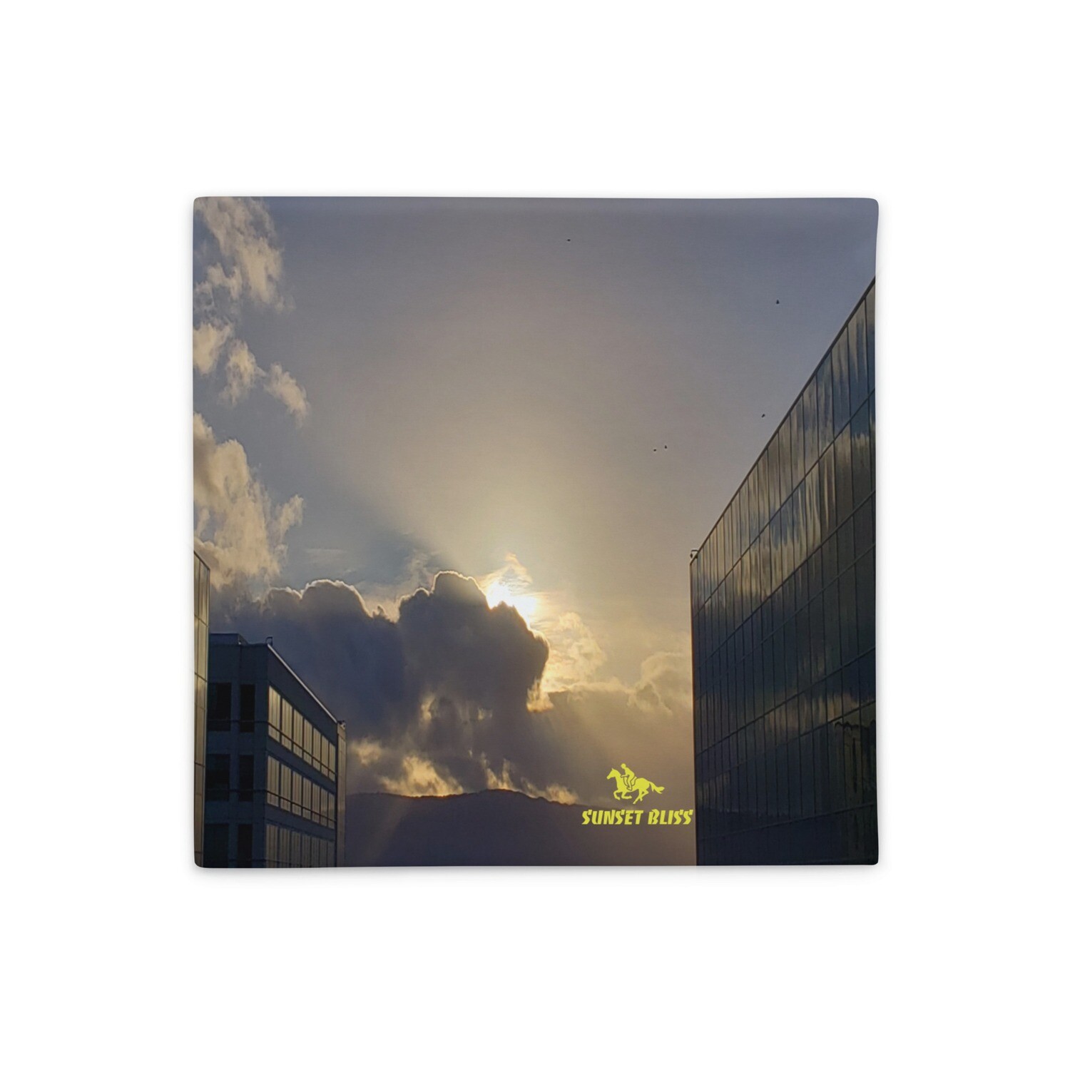 TOP FLIGHT SKYLINE-Pillow Case, Size: 18×18