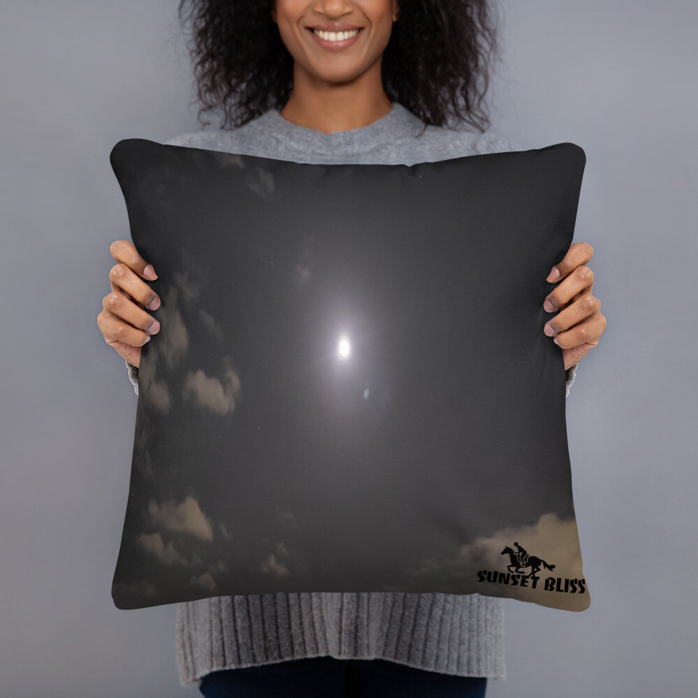 GUARDIAN-Basic Pillow, Size: 18×18