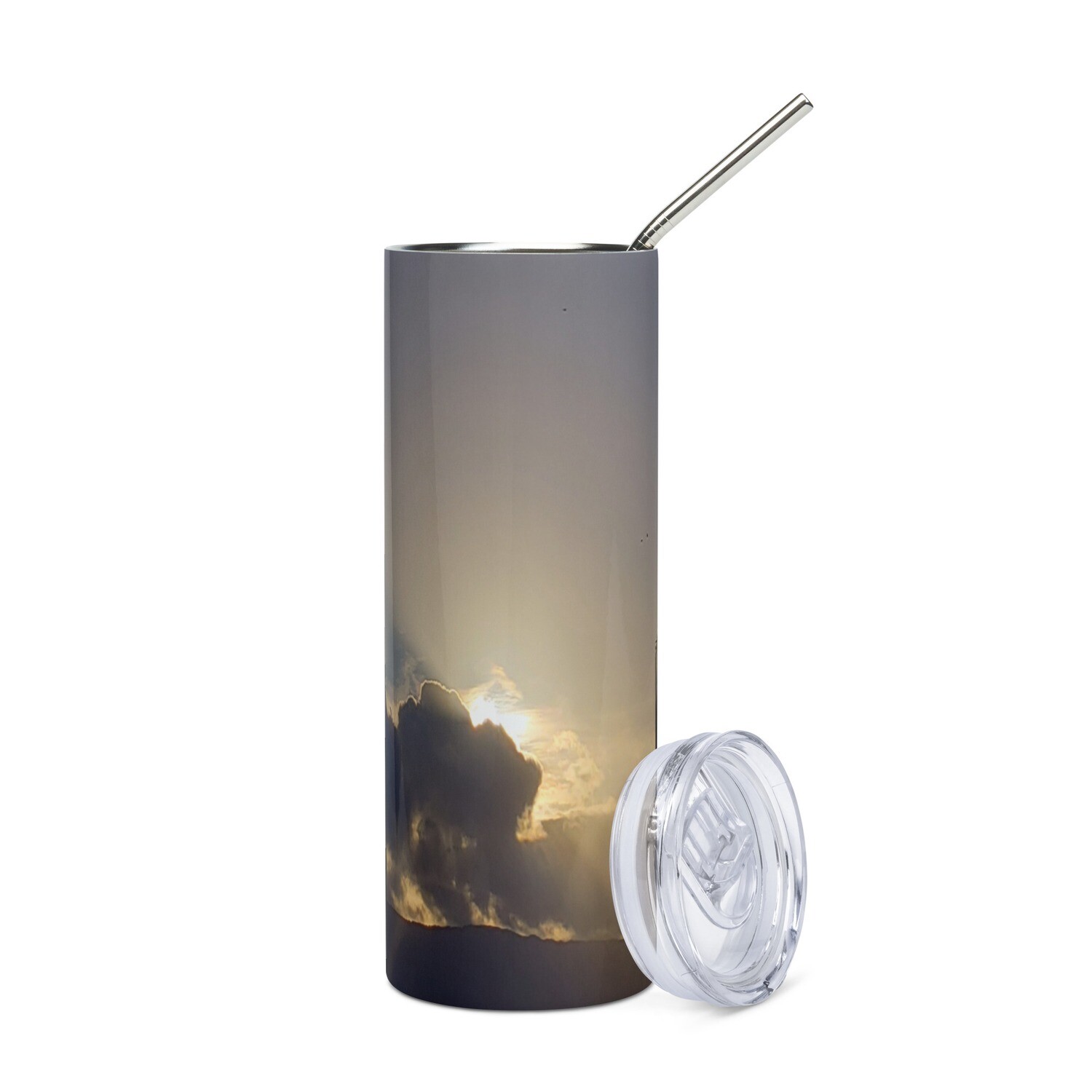 TOP FLIGHT SKYLINE-Stainless steel tumbler