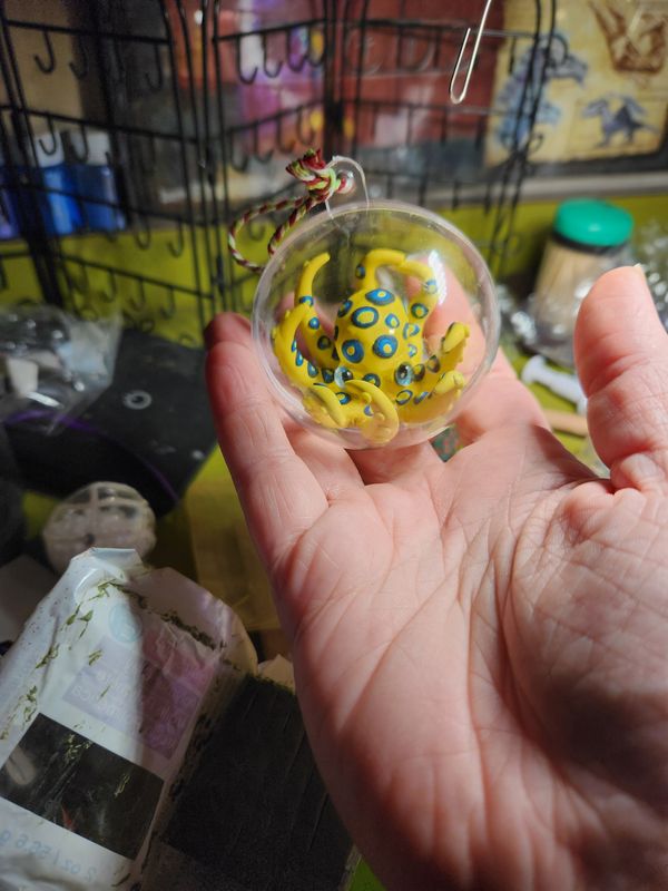 Blue-ringed octopus in hanging orb