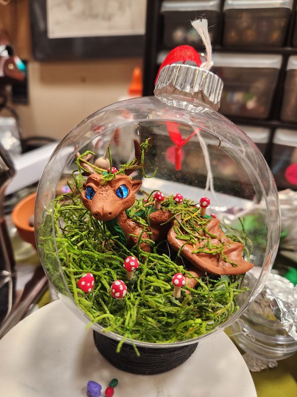 Forest dragon in hanging terrarium