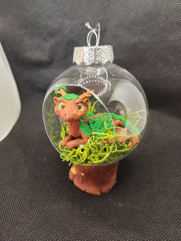 Forest dragon in hanging terrarium
