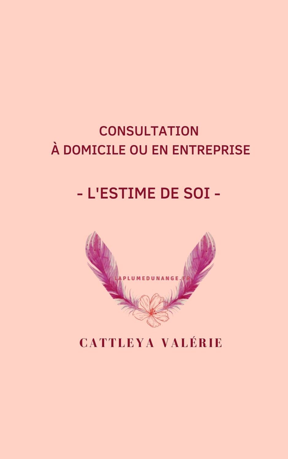 Coaching  2 - l'estime de soi  à domicile ou en entreprise
