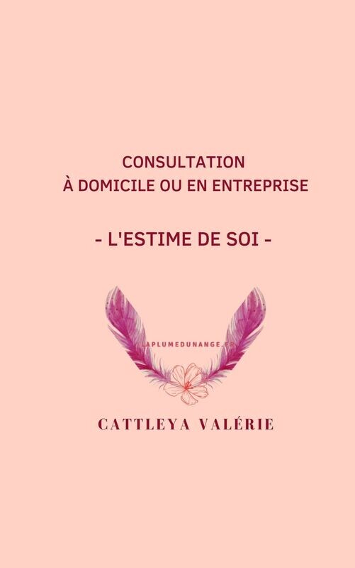 Coaching  2 - l'estime de soi  à domicile ou en entreprise