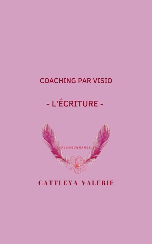 Coaching 3 - formation à l'écriture par visio