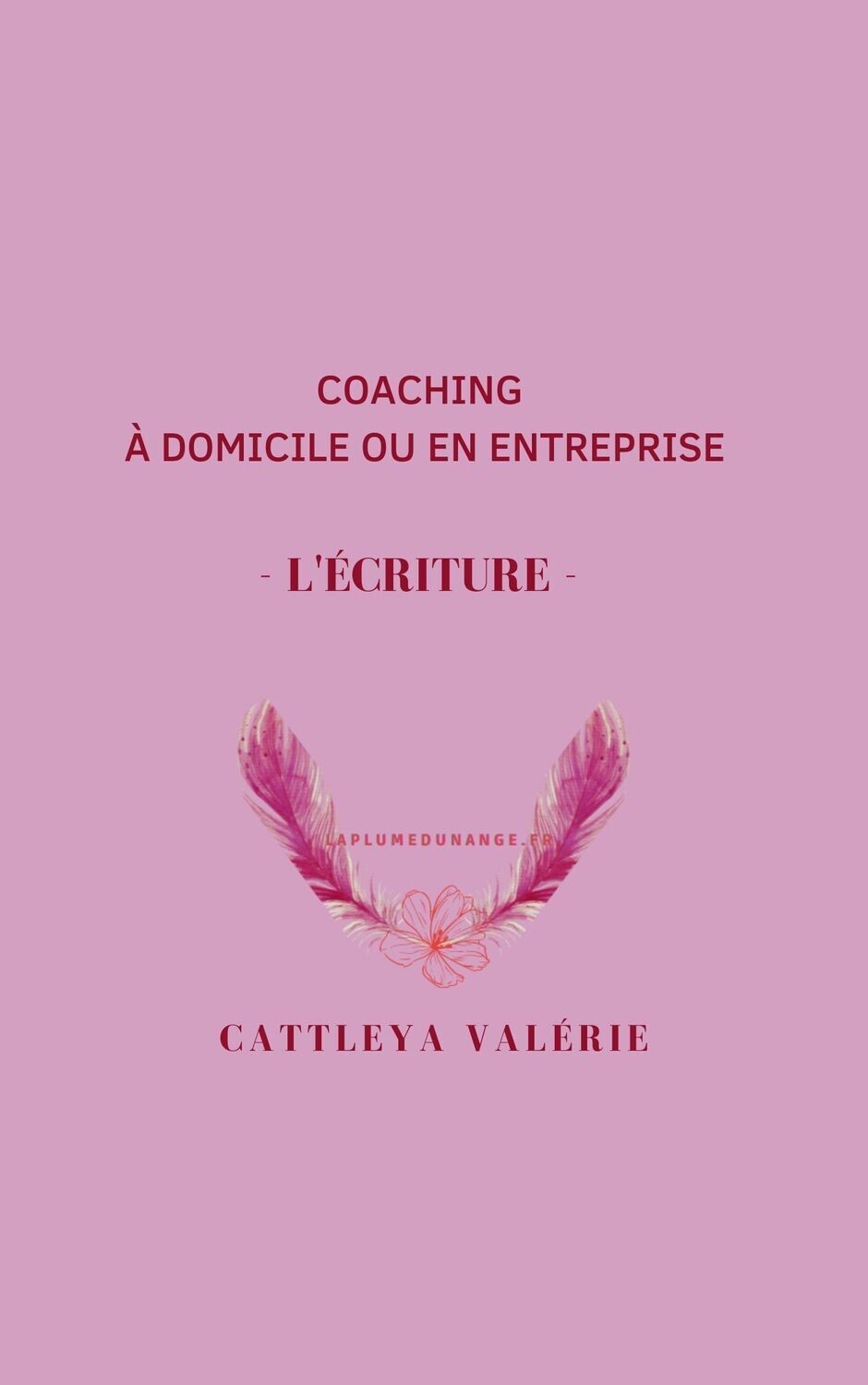 Coaching 4 - formation à l'écriture à votre domicile ou en entreprise