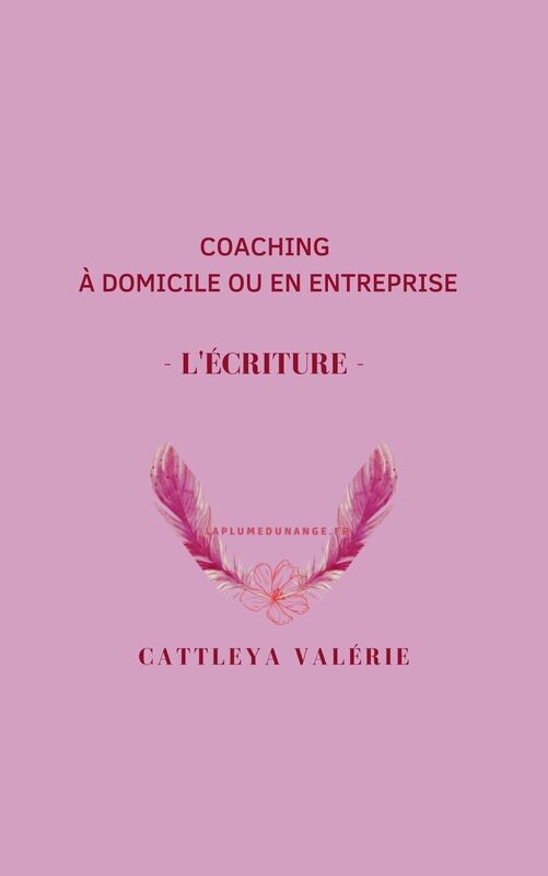Coaching 4 - formation à l'écriture à votre domicile ou en entreprise
