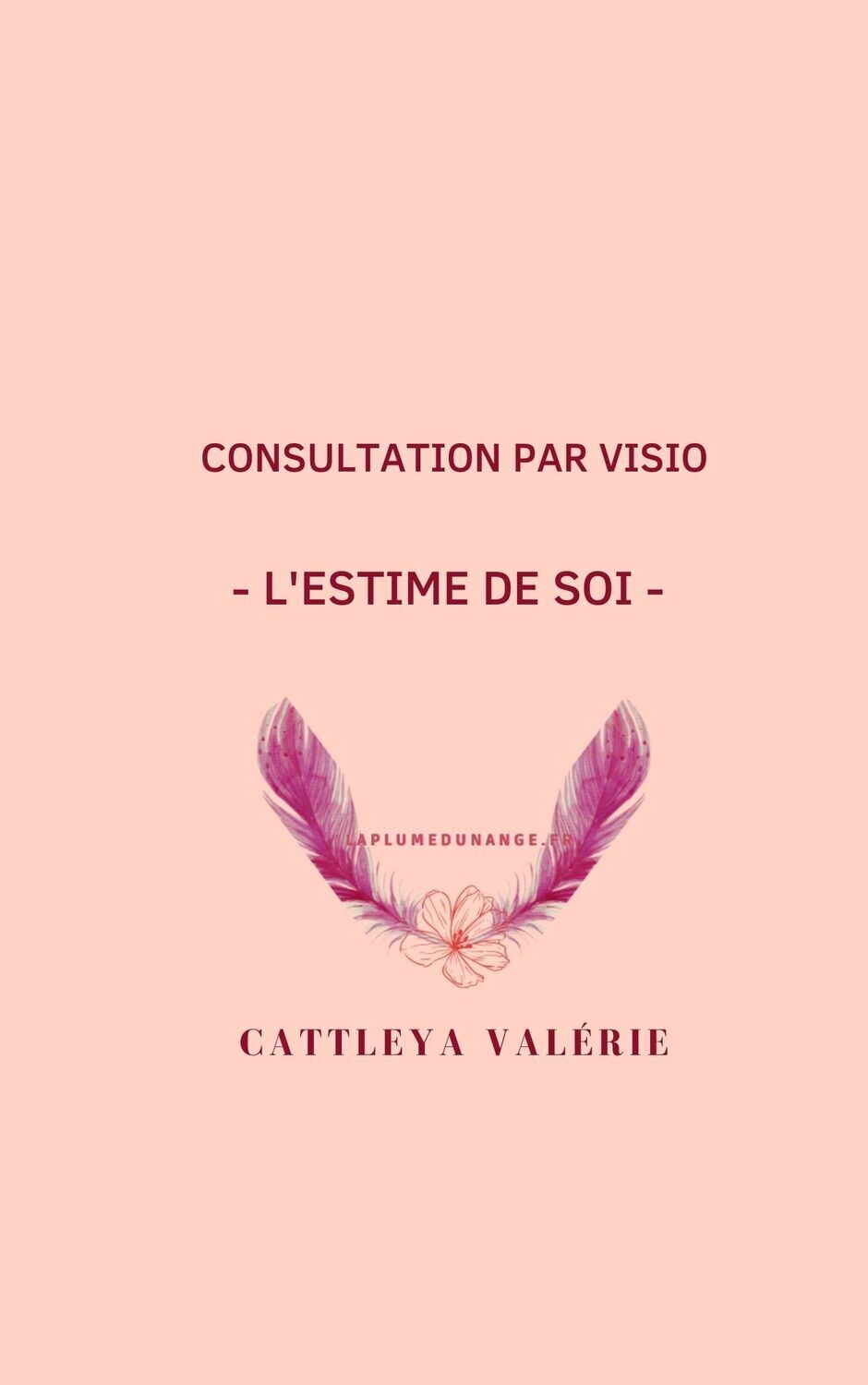 Coaching 1 - l'estime de soi par visio Coaching 1 - l'estime de soi par visio