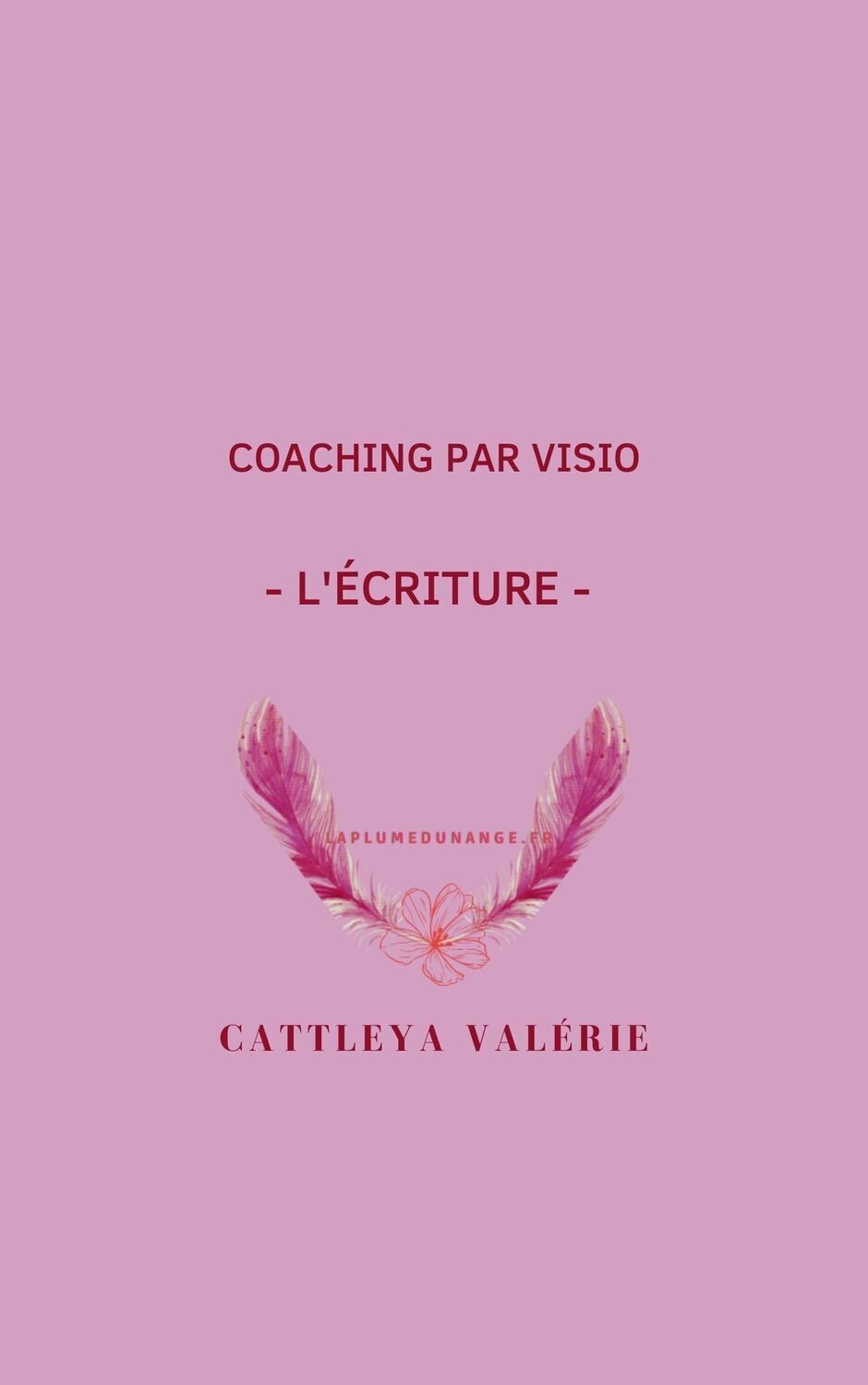 Coaching 3 - formation à l'écriture par visio Coaching 3 - formation à l'écriture par visio