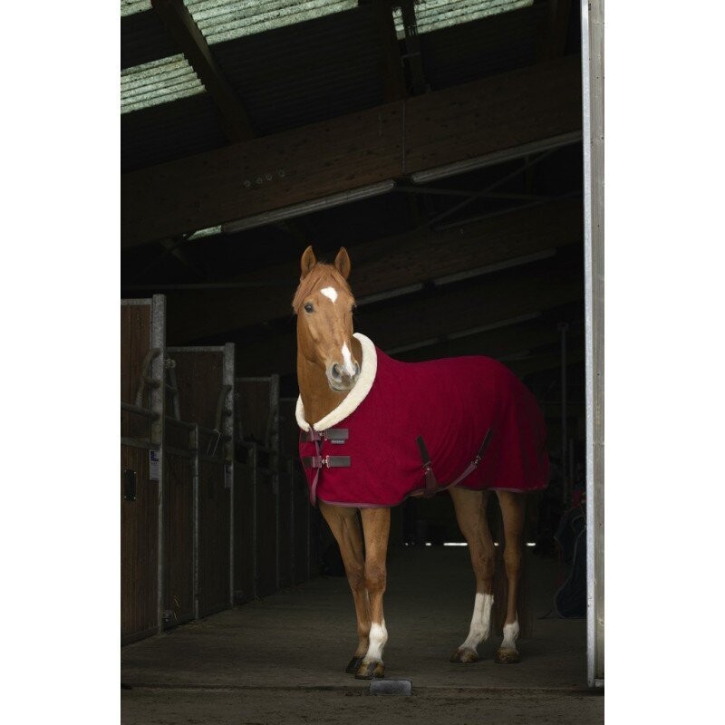 EQUITÈME "Teddy"Polarfleecedecke, bordeaux, Gr. 145 - während der Online Pferdemesse 10 % Rabatt