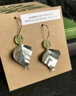 Lombardy Poplar - earrings