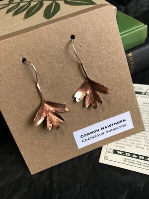 Common Hawthorn - earrings