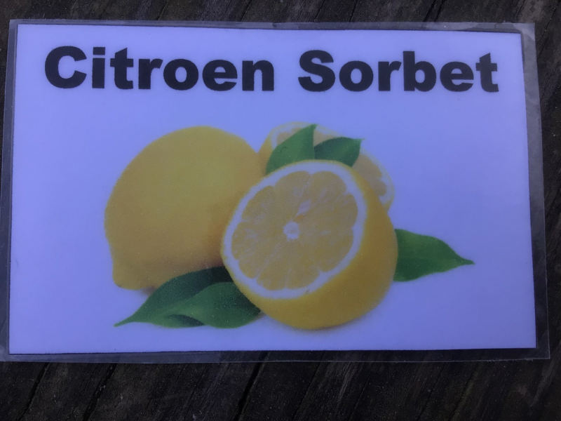 citroensorbet