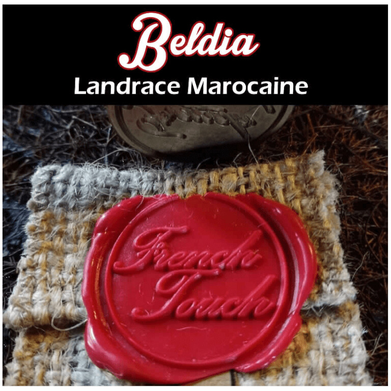 ??BELDIA HASH - PREMIUM MOROCCAN HASHISH UK STOCK.Payment by bank transfer or crypto only atm thank you