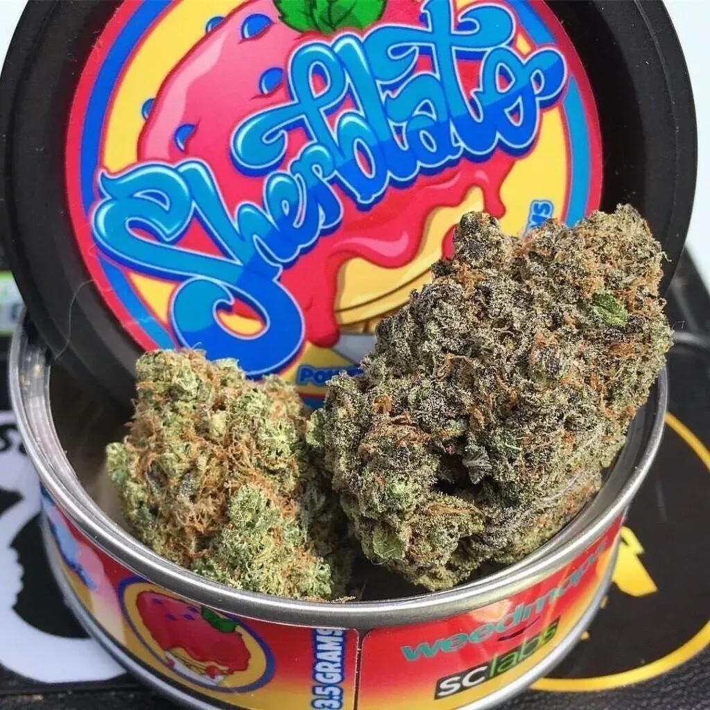 Buds шоколад