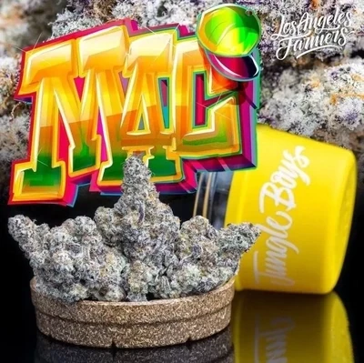 "NEW" 🏆MAC 🏆is a Premium SATIVA/Hybrid cannabis strain, U.S Import