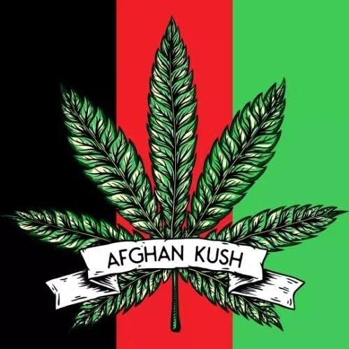 ?AFGHAN KUSH HASHISH" ?PREMIUM HASH 1, 2, 3.5, 5, 7, 14 28 grams. Payment by bank transfer or crypto only atm thank you