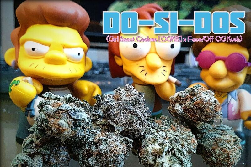 NEW ?DOSIDOS TOP SHELF EXOTIC  CALi import Indica/Hybrid  Cannabis Strain?Pay by bank transfer or crypto only atm thank you