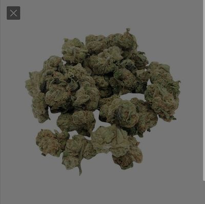 NEW👑🎂KINGS TART 👑🎂Exotic Indica hybrid cannabis strain👑🎂(PROMO)