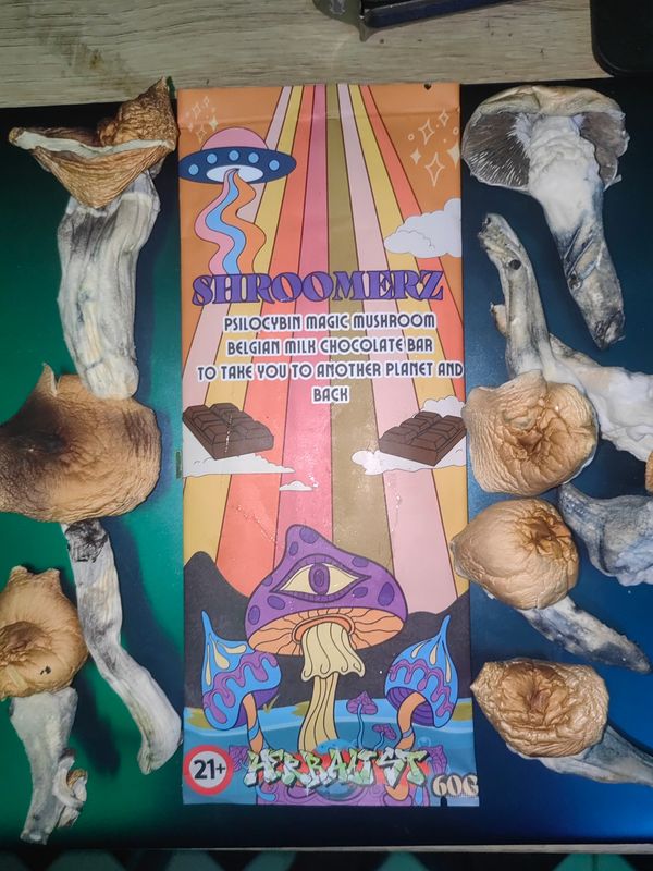 ?NEW? SHROOMERZ MAGIC MUSHROOM CHOCOLATE/ GUMMIES/FUDGE SHROOMERZ BELGIUM MILK/CARAMEL/WHITE? CHOCOLATE BARS?SHROOMERZ ??????Payment by bank transfer or crypto only atm thank you ?NEW? SHROOMERZ MAGIC MUSHROOM CHOCOLATE/ GUMMIES/FUDGE SHROOMERZ BELGIUM MILK/CARAMEL/WHITE? CHOCOLATE BARS?SHROOMERZ ??????Payment by bank transfer or crypto only atm thank you