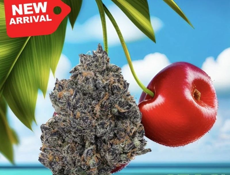 ?TROPICAL CHERRY? Hash- PREMIUM  HASHISH