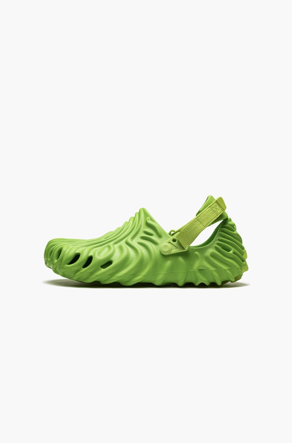 Pollex Clog “Crocodile”?