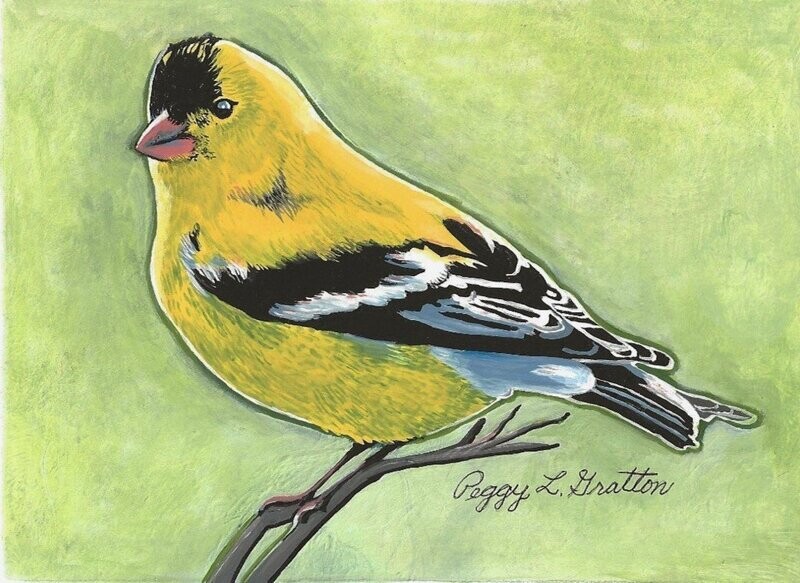 Prints--Goldfinch