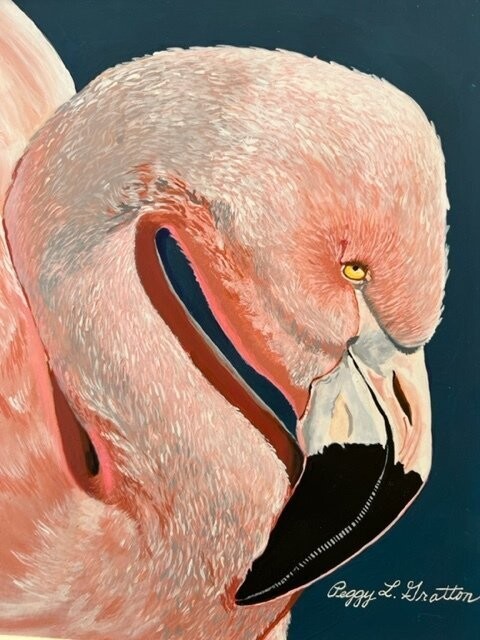 Original--Flamingo Pride